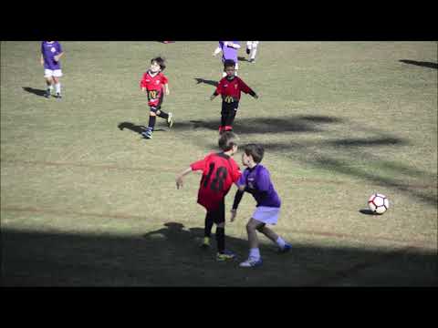 (Pitufos)Roteña - Rosario 07-12-2019