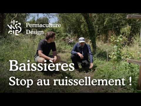 Permaculture Swale: Rainwater Harvesting & Soil Health