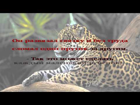 Вечерние рассказы для детей. История 069