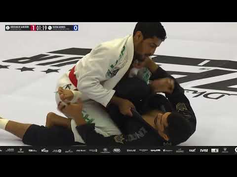 ABDULMALIK ALMURDHI vs SULTAN ALOWAIS - AJP ASIA TOUR JIU JITSU