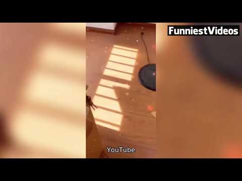 When a girl is drunk ...!!!