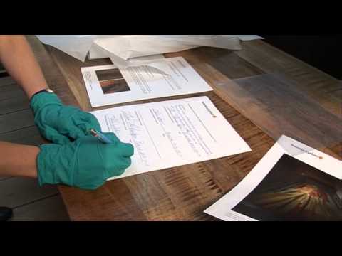 Dronning Margrethe 1 og hendes kjole