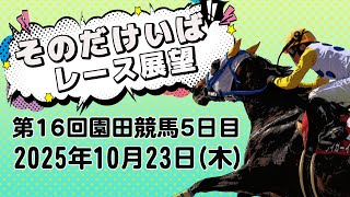 そのだけいばレース展望（10月23日分）
