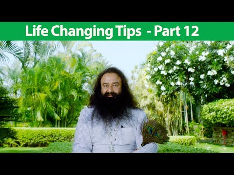 Life Changing Tips Part 12 | Saint Dr MSG Insan