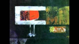 Lamb - Feela