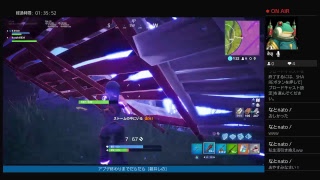 ［Fortnite］ラグとストームと相棒と［碧井しの］