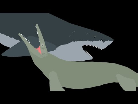 MOSASAUR VS MEGALODON