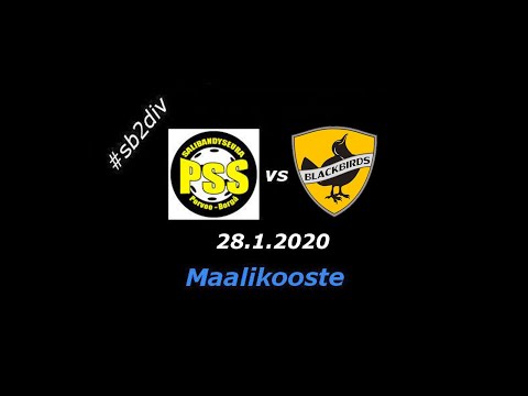 Maalikooste PSS - Blackbirds (28.1.2020)