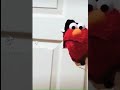 Elmo S World