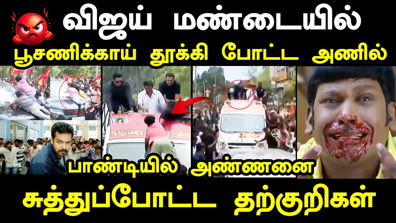 பாண்டியில் அலப்பறை செய்த அணில் குஞ்சுகள் I #tvkvijay #tvkvijaypuduch