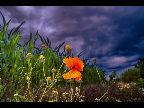 Hannover-Wettbergen - Naherholungsgebiet Wettberger Holz