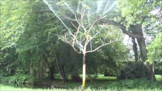 preview picture of video 'Château de Vendeuvre: l'arbre en fer'
