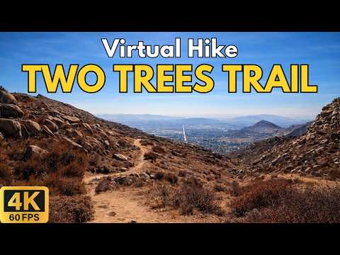 4K Treadmill Virtual Hike – Two Trees Trail Box Springs Mountain | 70-Min Scenic POV Nature Walk