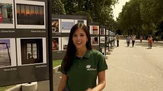 Iberdrola Exposición "El verano de nuestras vidas" anuncio