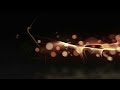 Thanks For Watching Outro 75 No Copyright