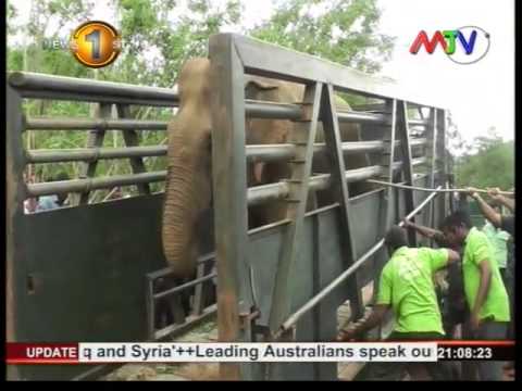 Prime Time News MTV 9pm 11th September 2015 Clip 02