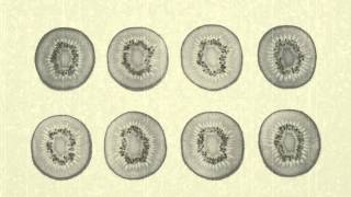 Audion - Vegetables