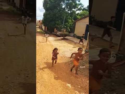 FLORA-RICA BALSAS MA. NORDESTE DO BRAZIL.                  #NEGÃO #NORDESTE #BRAZI #rappers