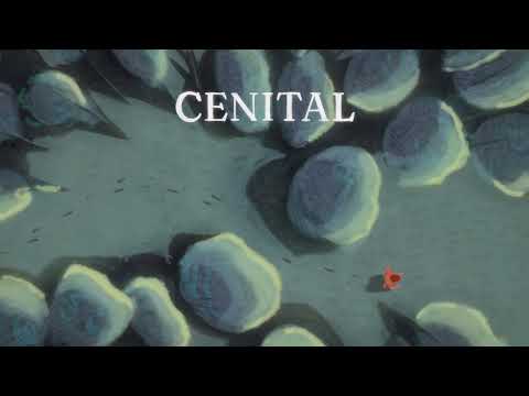 Lucio Mantel - Cenital