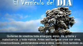 Miniatura del video: El versiculo del dia .com - Efesios 4 v31-32