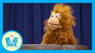 Adventures with Artie - Honor