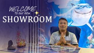 Step Into the New Seascapes Showroom – Now Open! | SEASCAPES new showroom