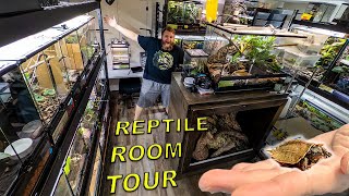 Reptile Room Tour October 2025!