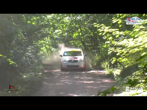 Radu Badina/Mita Lazarescu Raliul Deltei 2013  Rezumat Rallymax