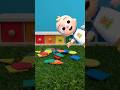 Can You Match The Colors Puzzle Game For Kids