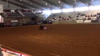 Shake it Frenchie diamonds and dirt