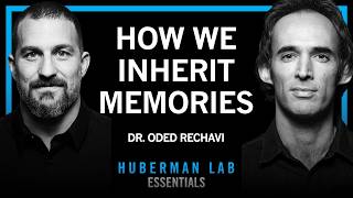 Inherited Memories: RNA & Generations — Full Breakdown & Transcript