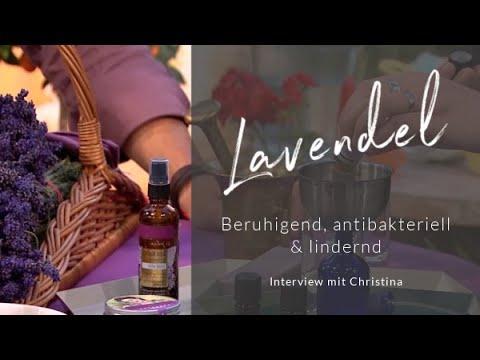 Lavendel aus Österreich in Bio-Qualität | Interview mit Christina Wolff-Staudigl