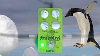 Video thumbnail for Darta Freebird (Roberto Torao) by Roberto Torao