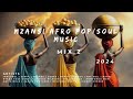 Mzansi Afro Pop Mix 2 2024
