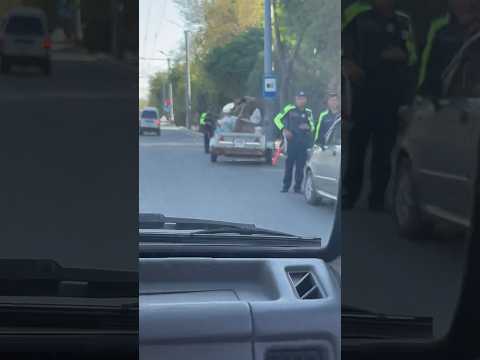 YPX REYD #ypx #xokim #gai