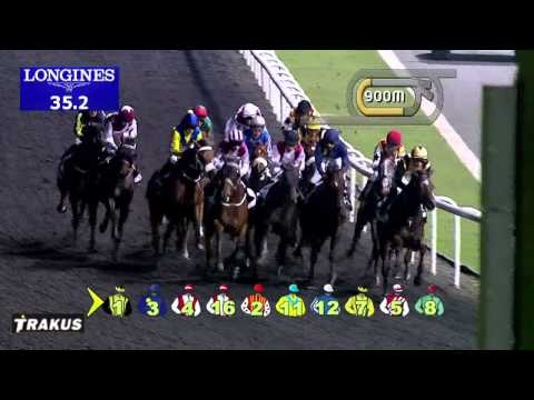 01.02.2014 Meydan (Dubai-UAE) 1.Race Mohammed Al Naboodah Group Trophy - Maiden 1.400 m