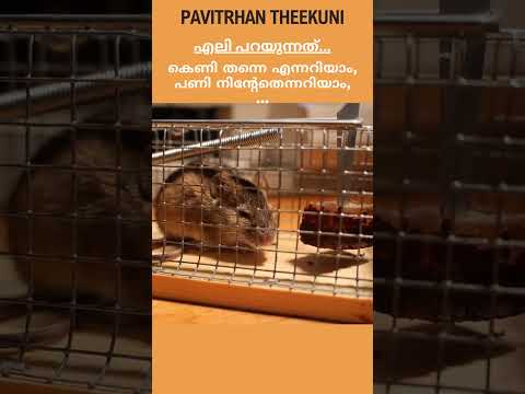 Pavithran Theekkuni Poet Malayalam Motivational Success Quote #shorts #malayalamquotes #poetry