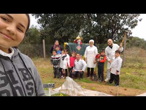 Pasantía Rural 2024, Escuela N°4 "Chacras del Pintado", Artigas.