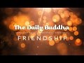 The Daily Buddha - Friendship