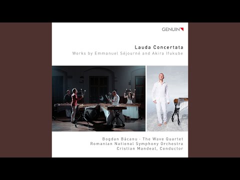 Marimba Concerto: I. Avec force