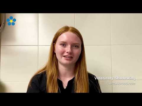 Veterinary Internship - Sophie