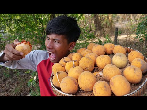 Wow! Yummy Mouth Watering See He eat - Eat Santol Fruit Delicious I Like to Eat