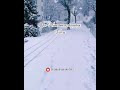 Nee Himamazhayayi Varu Song Status ️ Harisankar Edakkadu Battalian Tovino