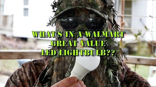 What's in a Walmart LED light-bulb