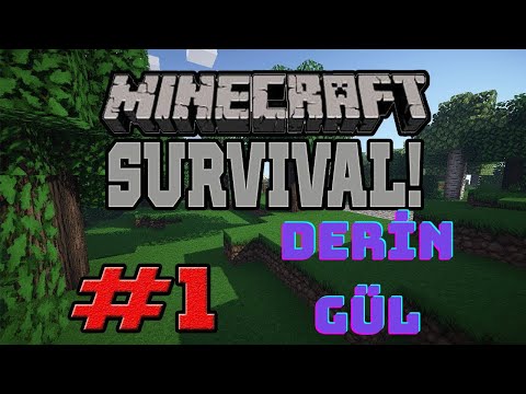 MİNECRAFT 1.BÖLÜM JAVA MÜKEMMEL BAŞLANGIÇ #minecraft #minecraftshorts #BÜYÜKvsKÜÇÜKSAKLAMBAÇ