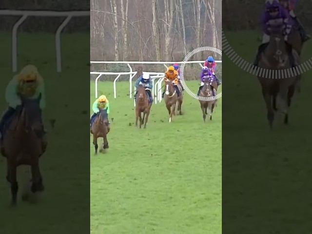 Thumbnail for Post ID: 1_ltNHSzNeM