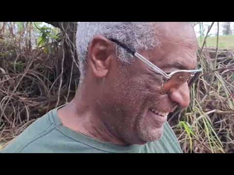 Passeio diferente em São José da Barra MG e conhecendo uma fruta diferente#passeio #fruit #fruta