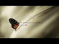 Relaxing Recitation Of Surah Taha For Stress Relief And Soul Healing Shikh Ismail Annuri