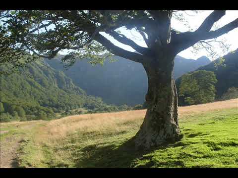THE LOVE CLUB DETROIT Free my mind ( Trance mix )