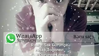 Download lagu Story wa 30detik||fdj emily young penipu alus mp3